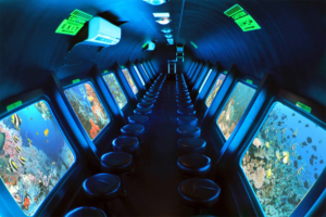 Gallery Thumbnail 2