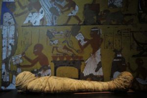 Gallery Thumbnail 1